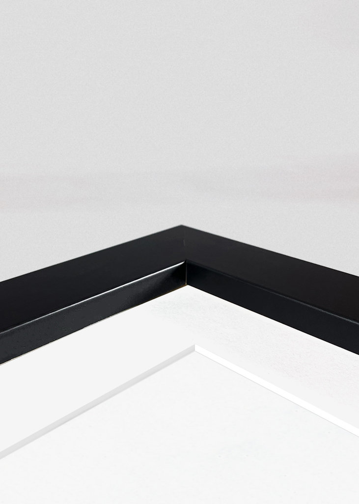 Kontryhel s mravencem