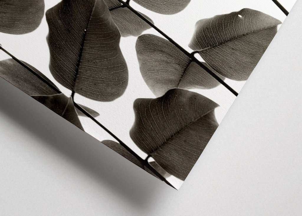 Zweige und Blätter I