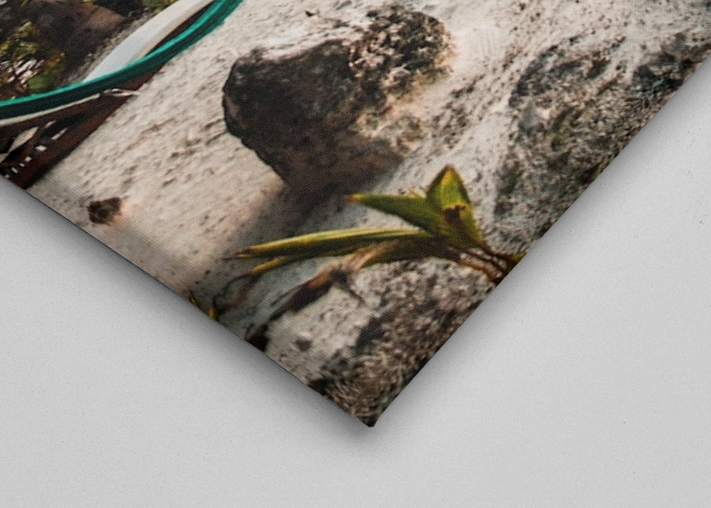 Meksykańskie klimaty