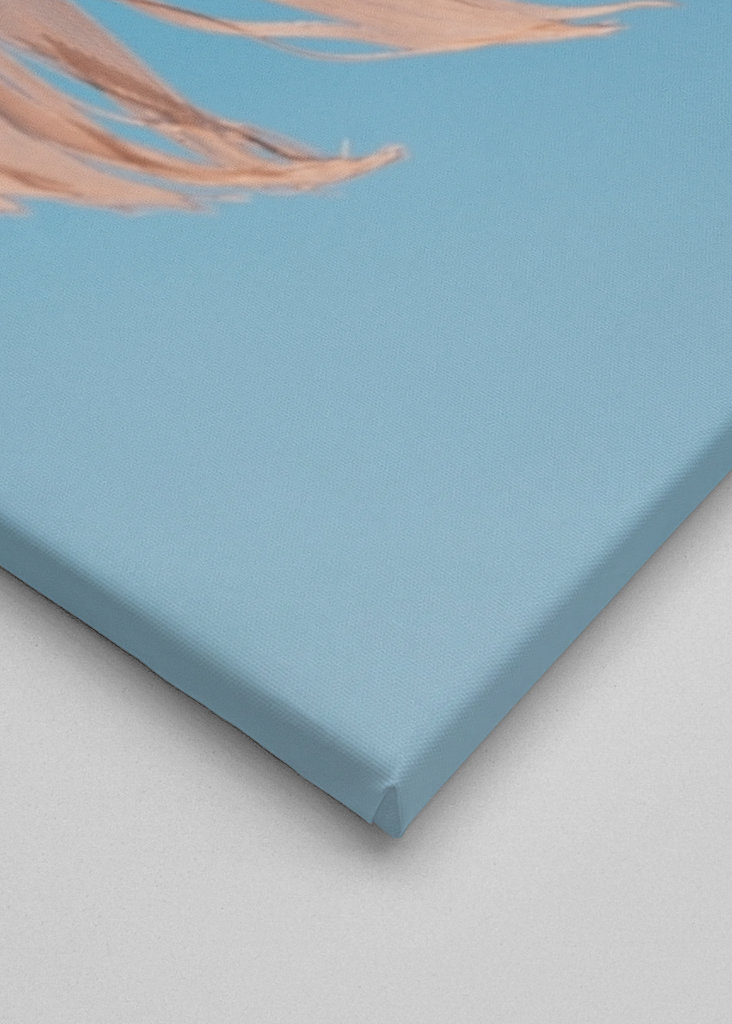 Evropský fond pro regionální rozvoj (EFRR)