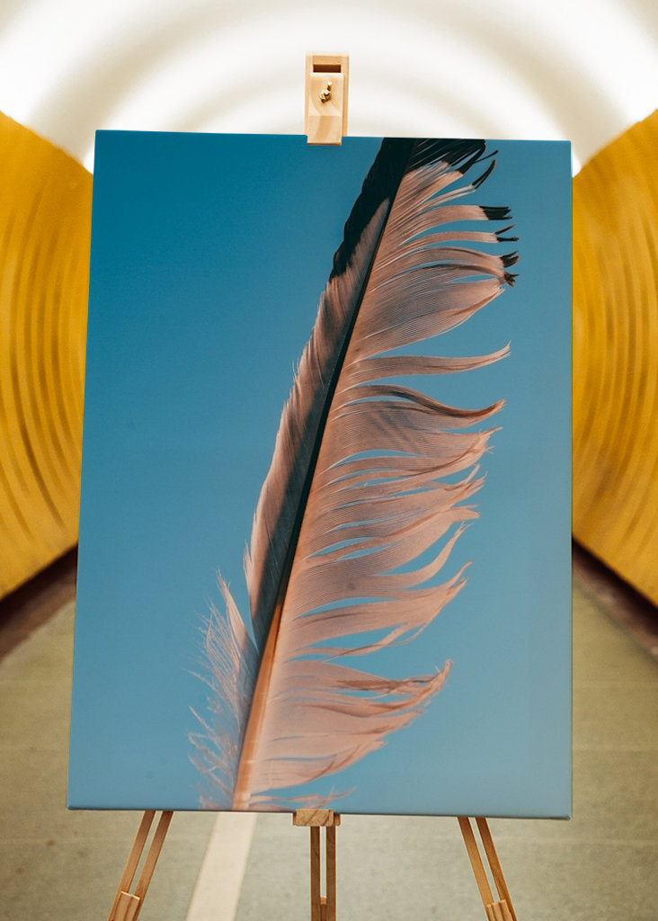 Evropský fond pro regionální rozvoj (EFRR)