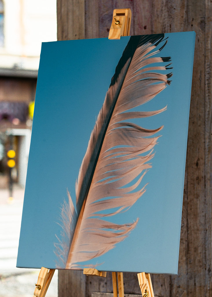 Evropský fond pro regionální rozvoj (EFRR)