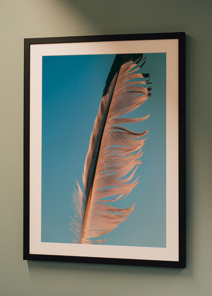 Evropský fond pro regionální rozvoj (EFRR)