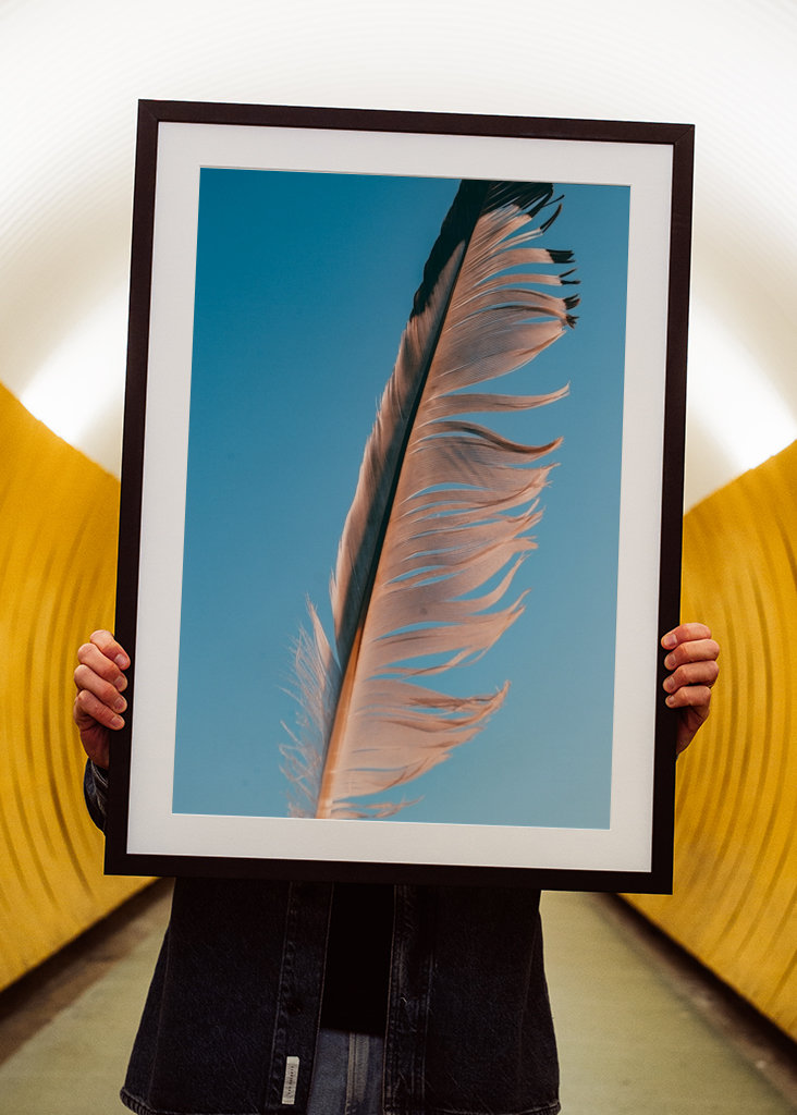 Evropský fond pro regionální rozvoj (EFRR)