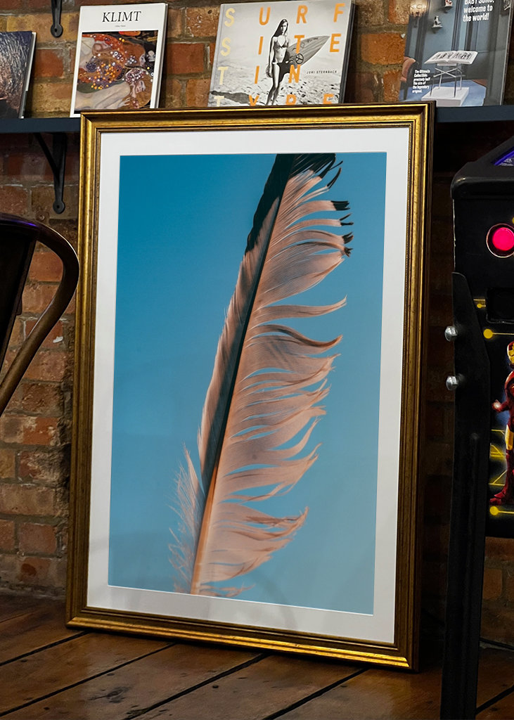 Evropský fond pro regionální rozvoj (EFRR)