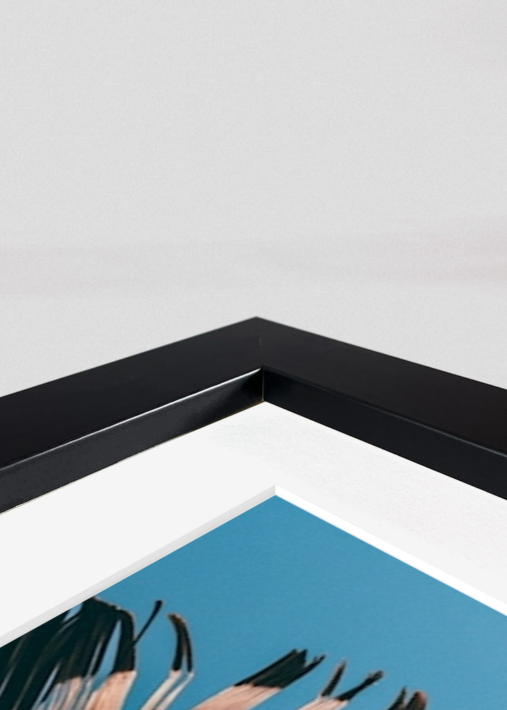 Evropský fond pro regionální rozvoj (EFRR)