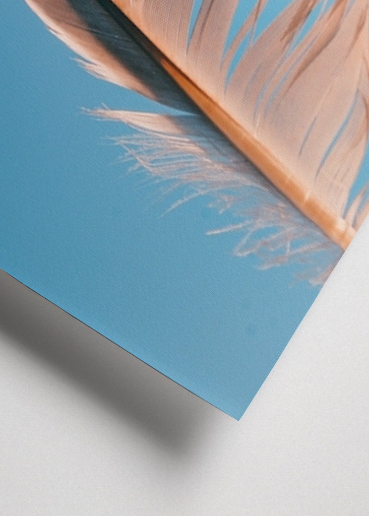 Evropský fond pro regionální rozvoj (EFRR)