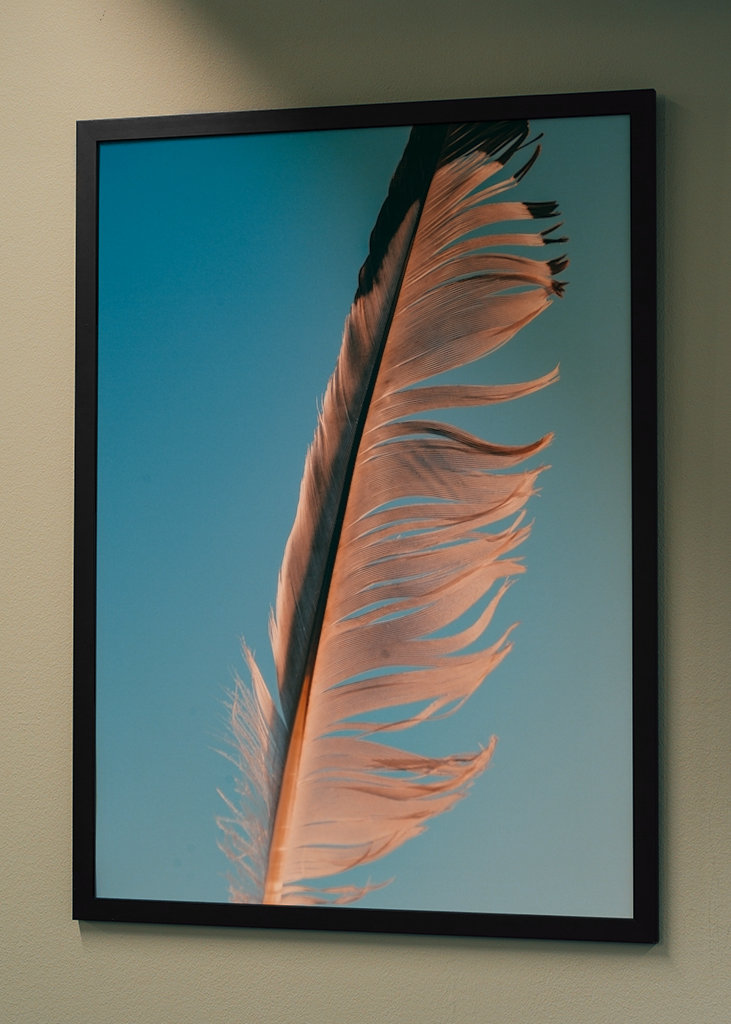 Evropský fond pro regionální rozvoj (EFRR)