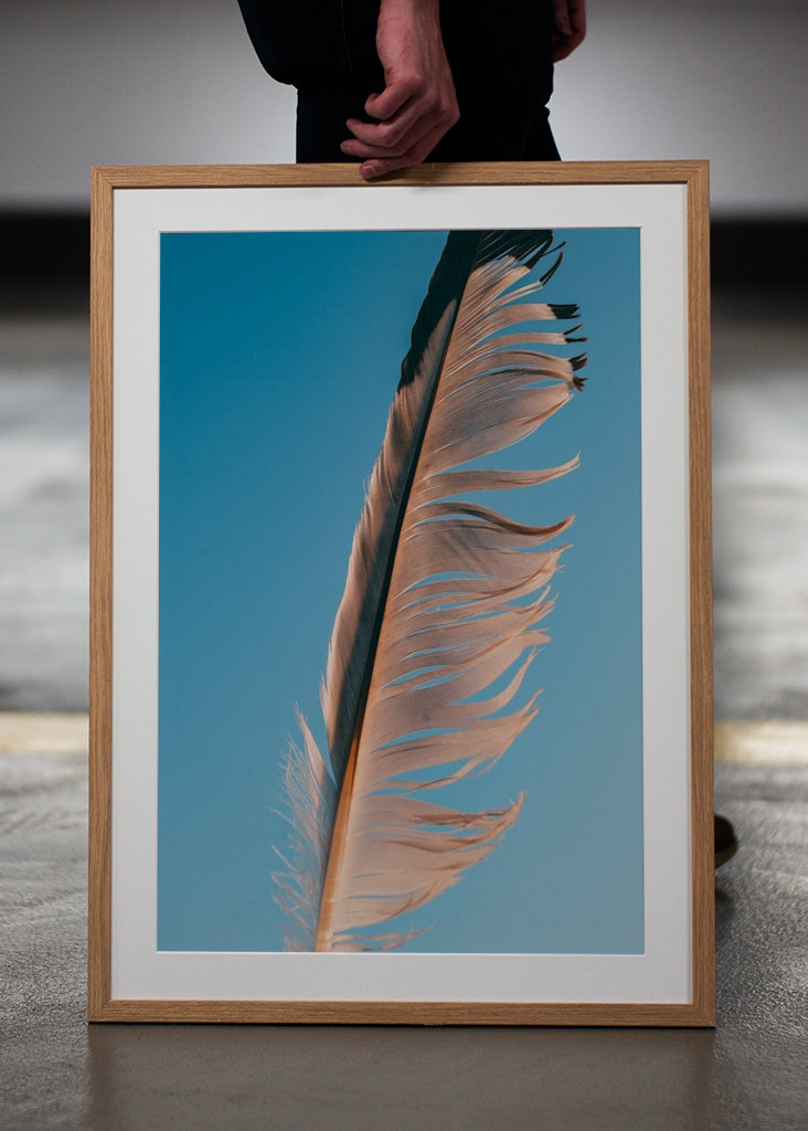 Evropský fond pro regionální rozvoj (EFRR)