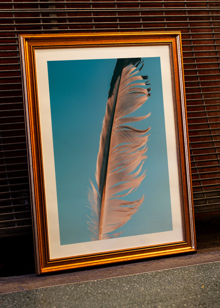 Evropský fond pro regionální rozvoj (EFRR)