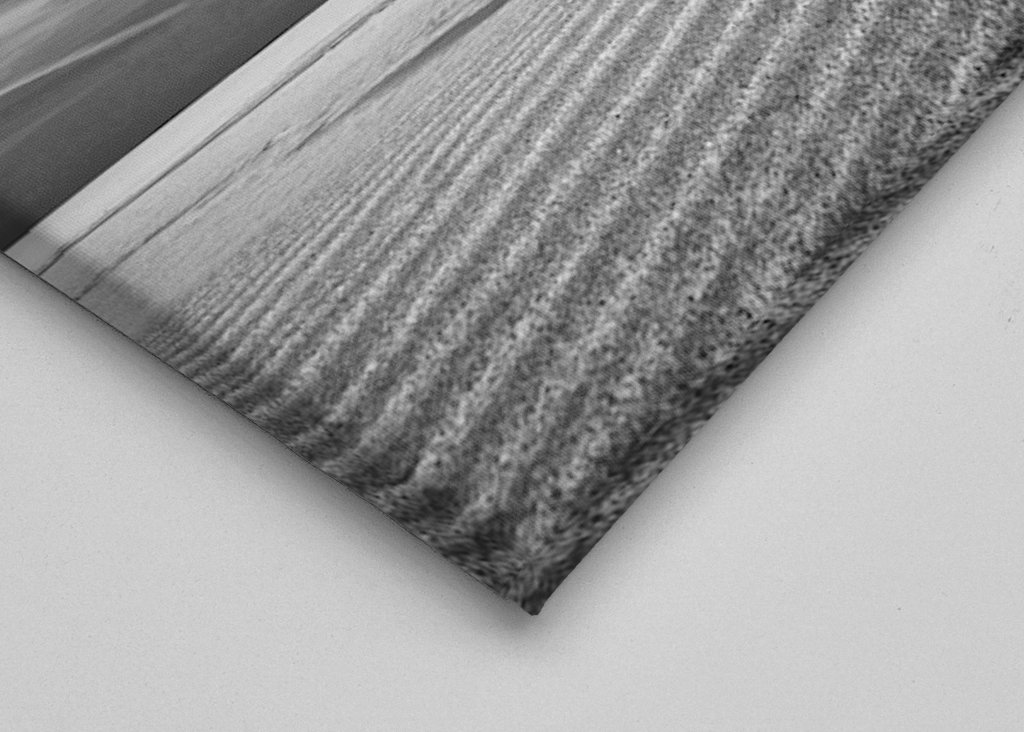 Dune Sand Beach Baltic Sea