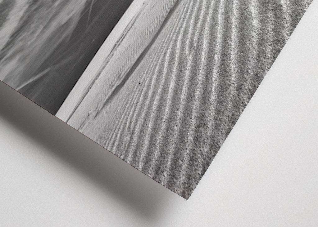 Dune Sand Beach Baltic Sea