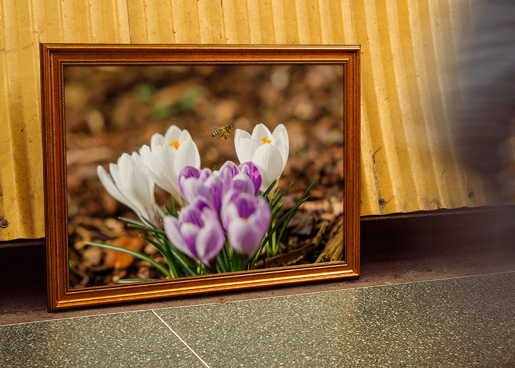 Tekenen van de lente