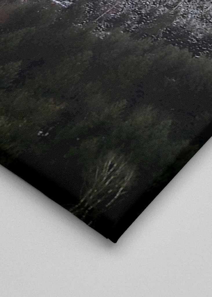 Schwarzwald om vinteren forandring