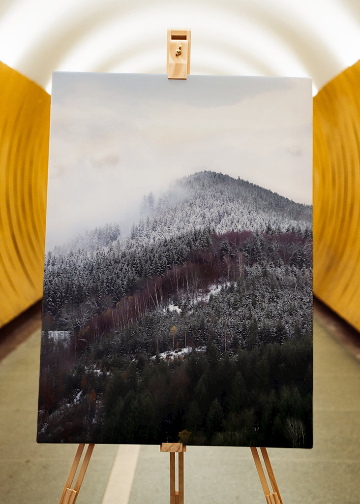 Schwarzwald om vinteren forandring
