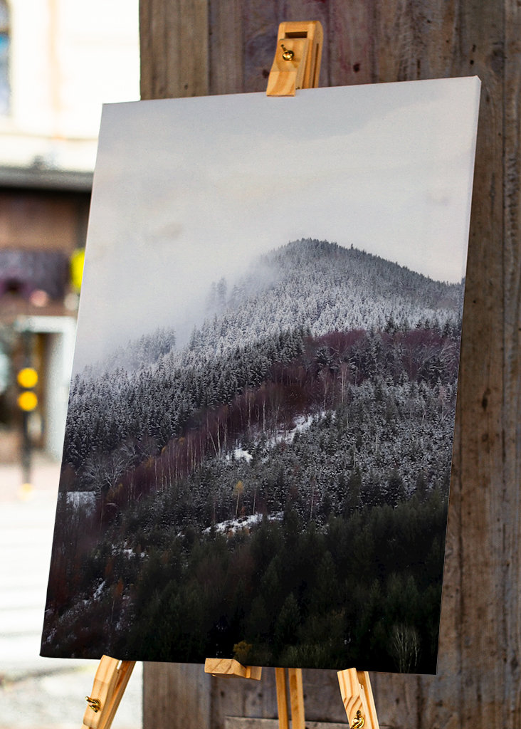 Schwarzwald om vinteren forandring
