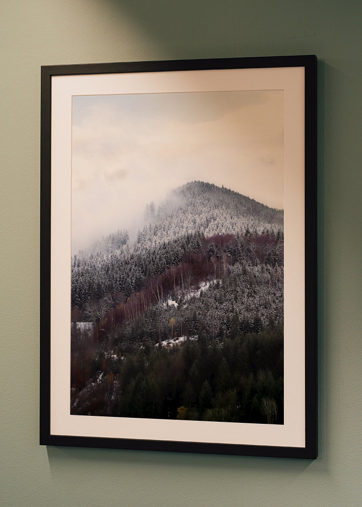 Schwarzwald om vinteren forandring