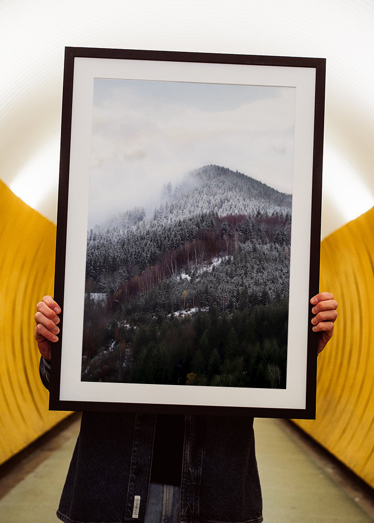 Schwarzwald om vinteren forandring