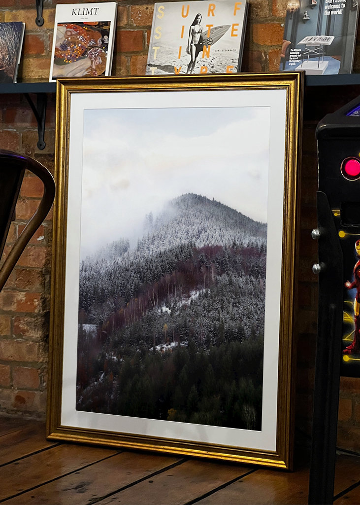 Schwarzwald om vinteren forandring