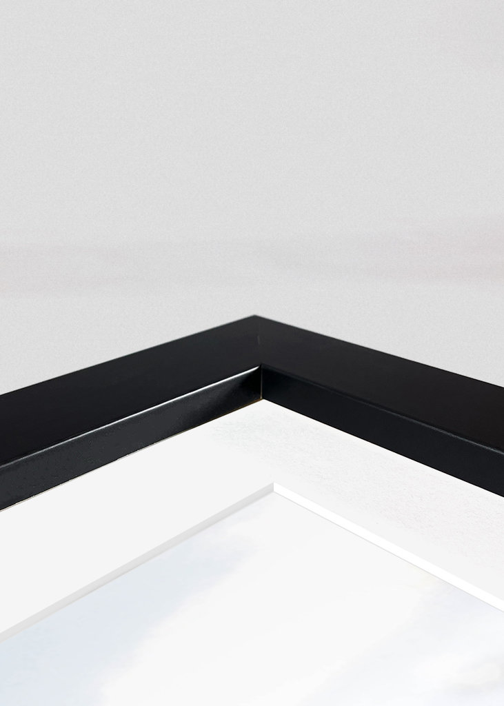 Schwarzwald om vinteren forandring