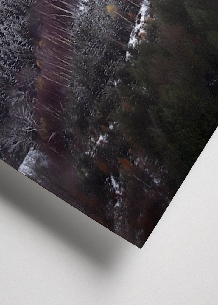 Schwarzwald om vinteren forandring