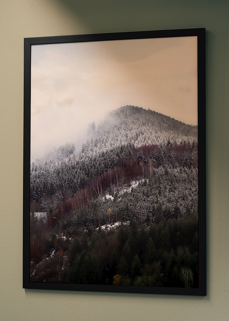 Schwarzwald om vinteren forandring