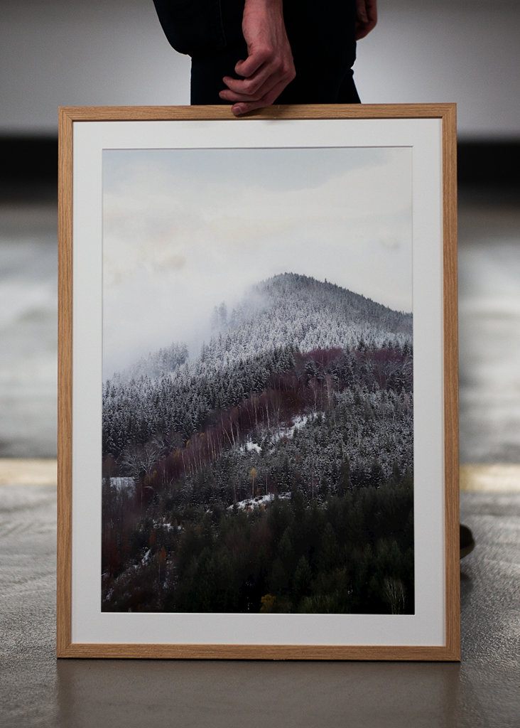 Schwarzwald om vinteren forandring