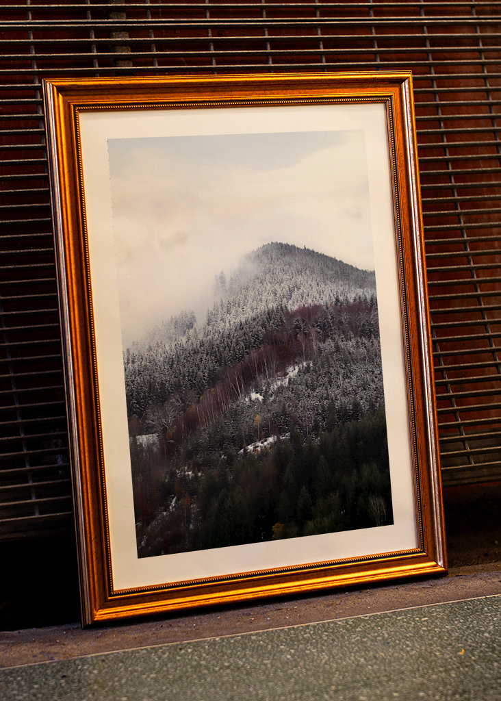 Schwarzwald om vinteren forandring