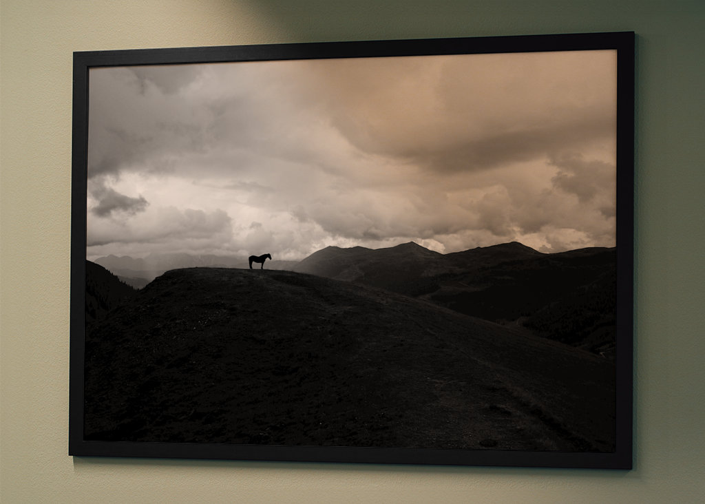 Cheval dans le brouillard