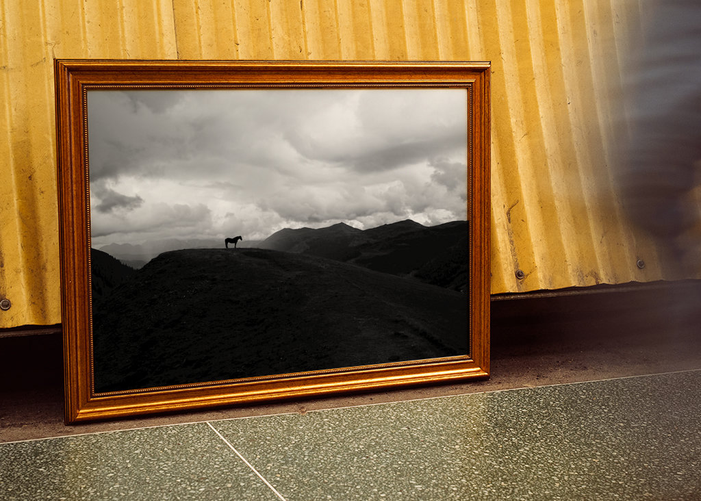 Cheval dans le brouillard