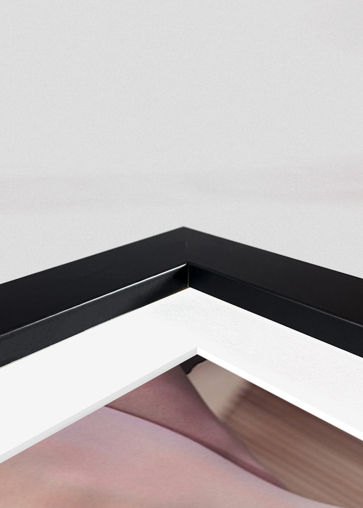 Ballerinaer under træning