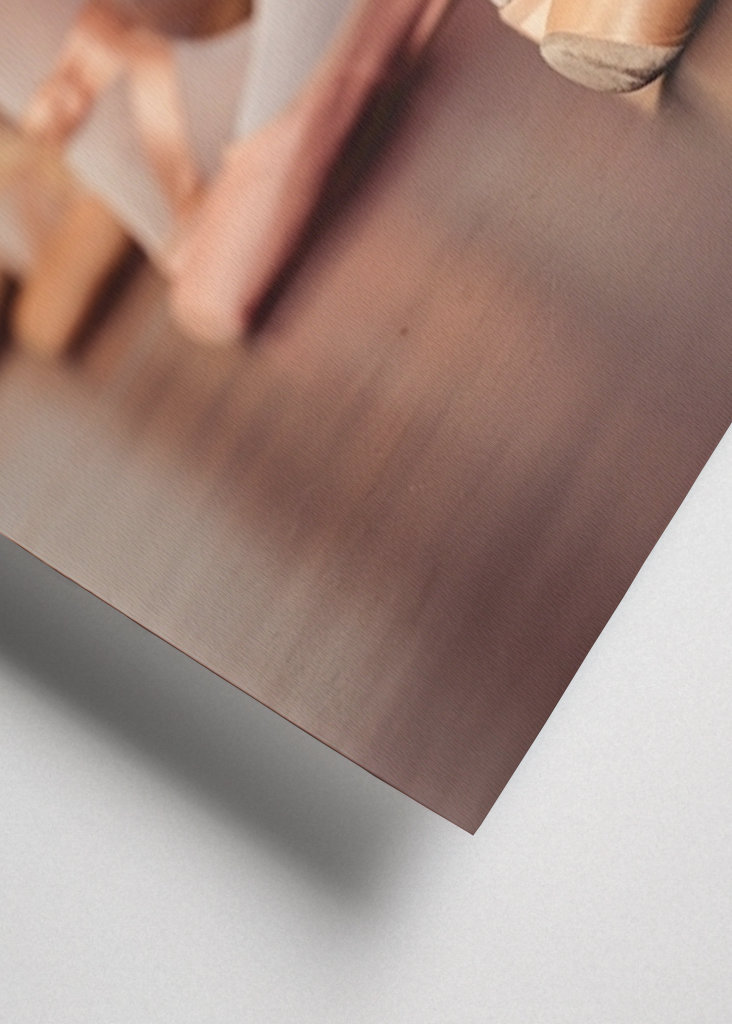 Ballerinaer under træning