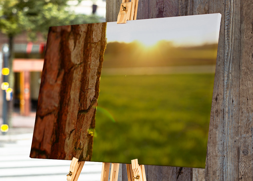 Närbild av trädbark