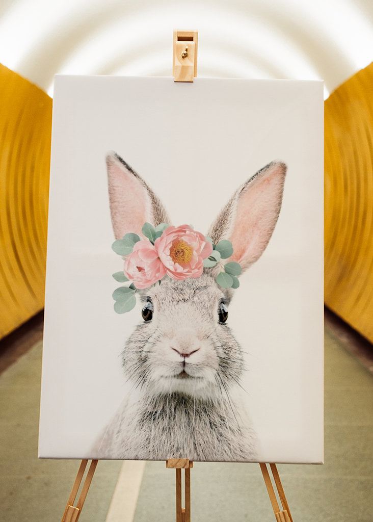 Boho Bunny