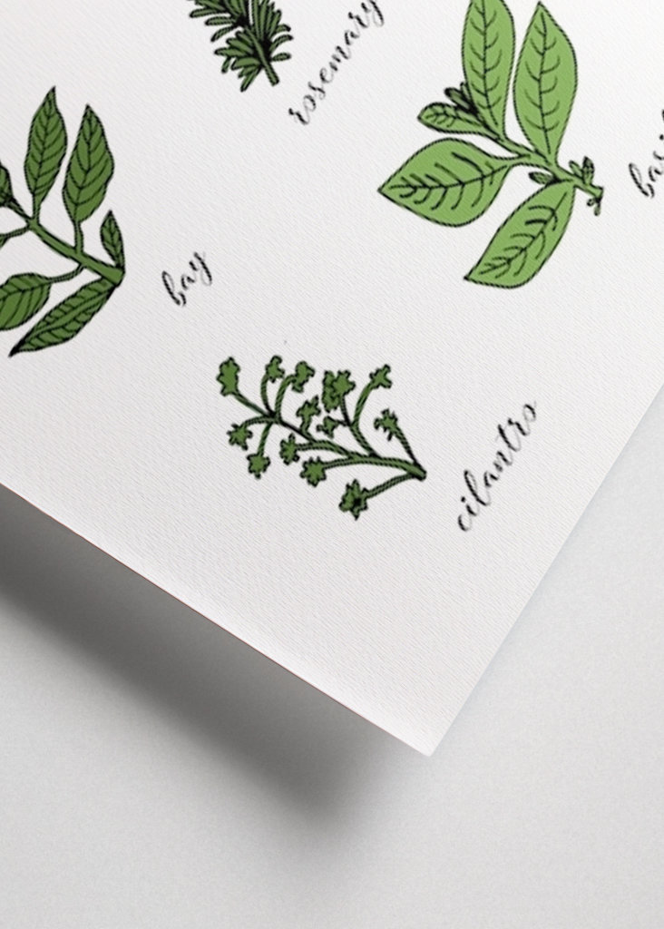 Kulinarische Kräuter Poster