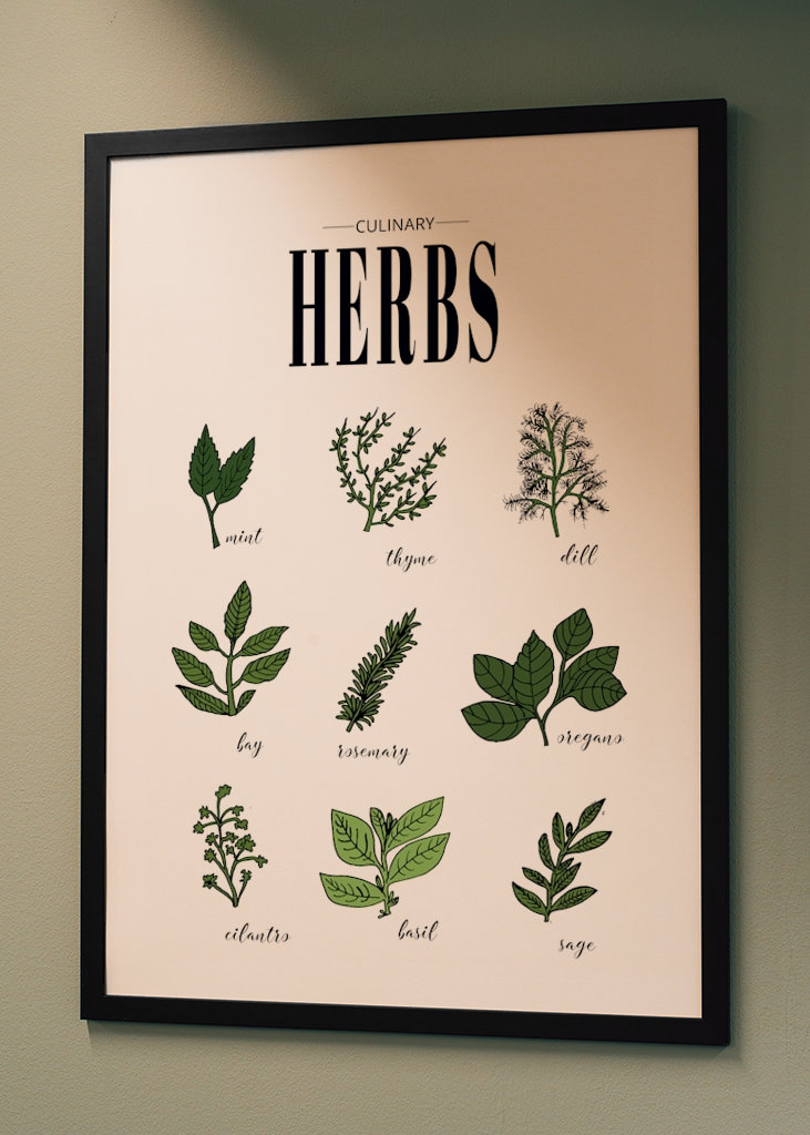 Kulinarische Kräuter Poster