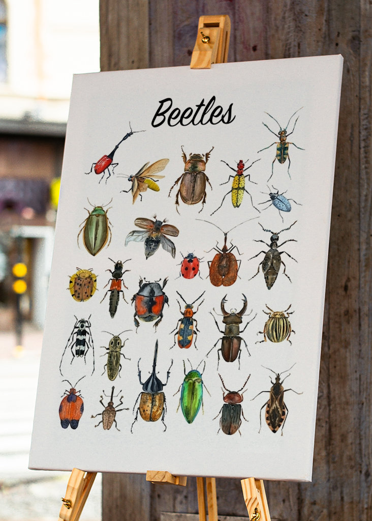 Beetles Poster