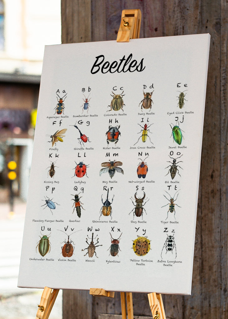 Plagát s abecedou chrobákov