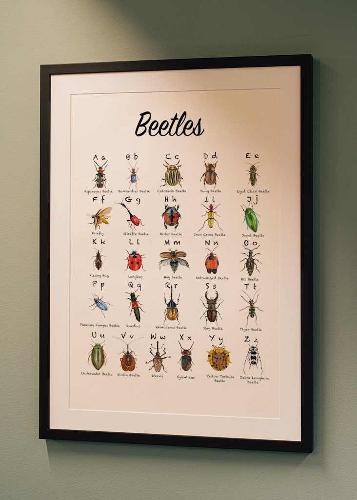Plagát s abecedou chrobákov