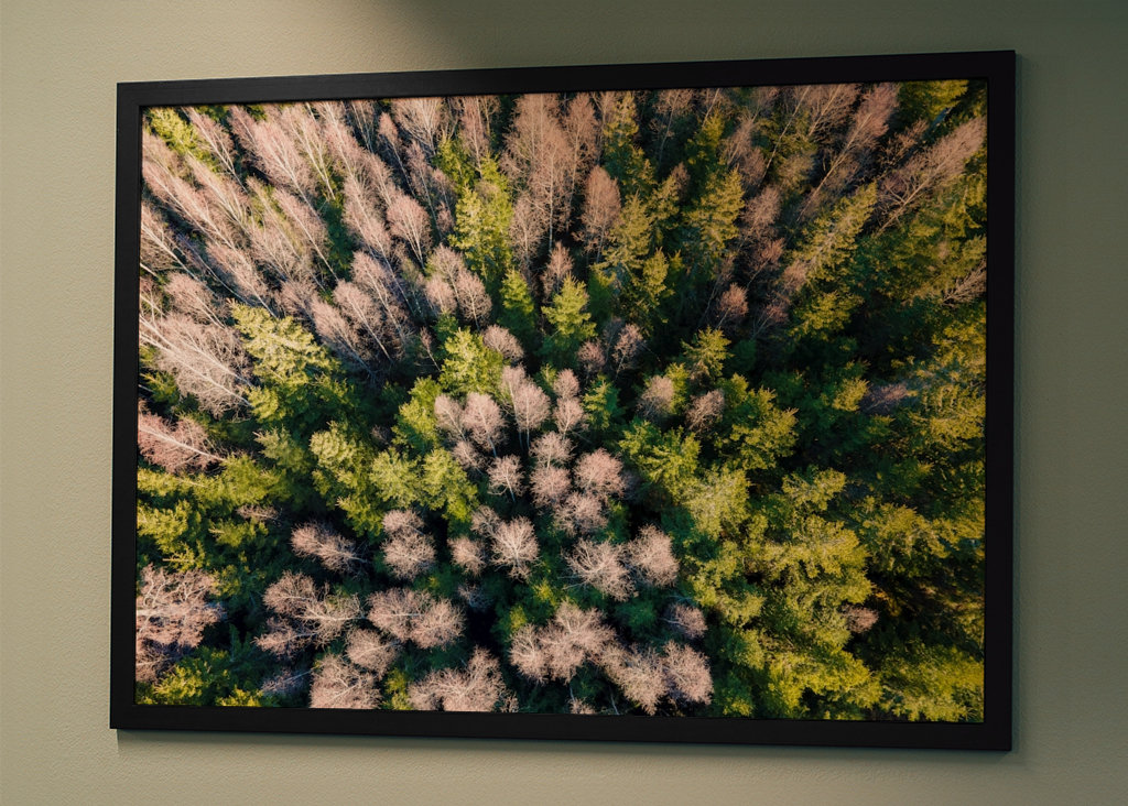 Smålands tiefer Wald von oben