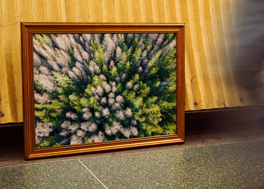 Smålands tiefer Wald von oben