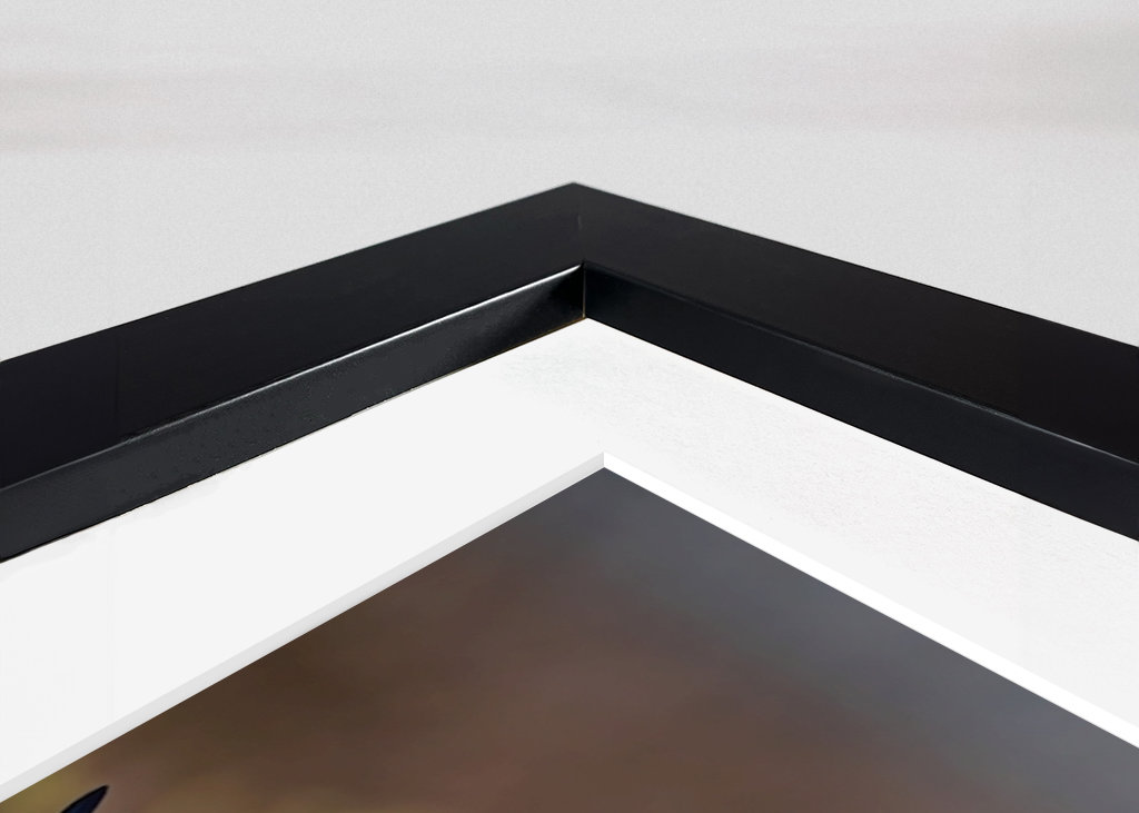 A szirti sas leszállt