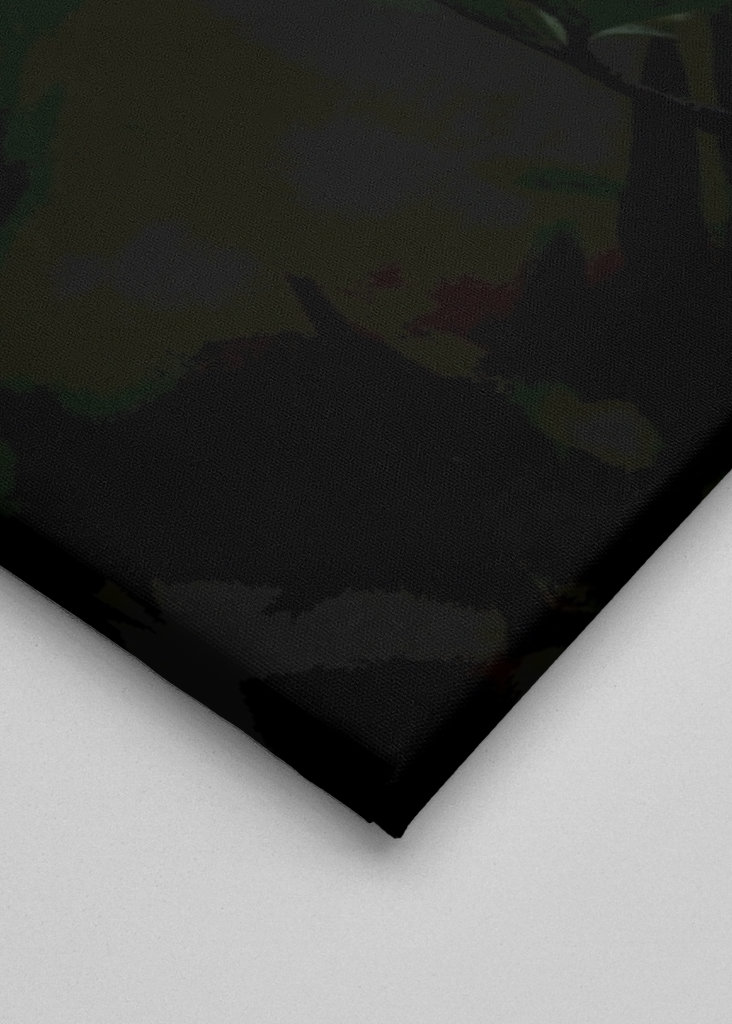 Reaching for the light