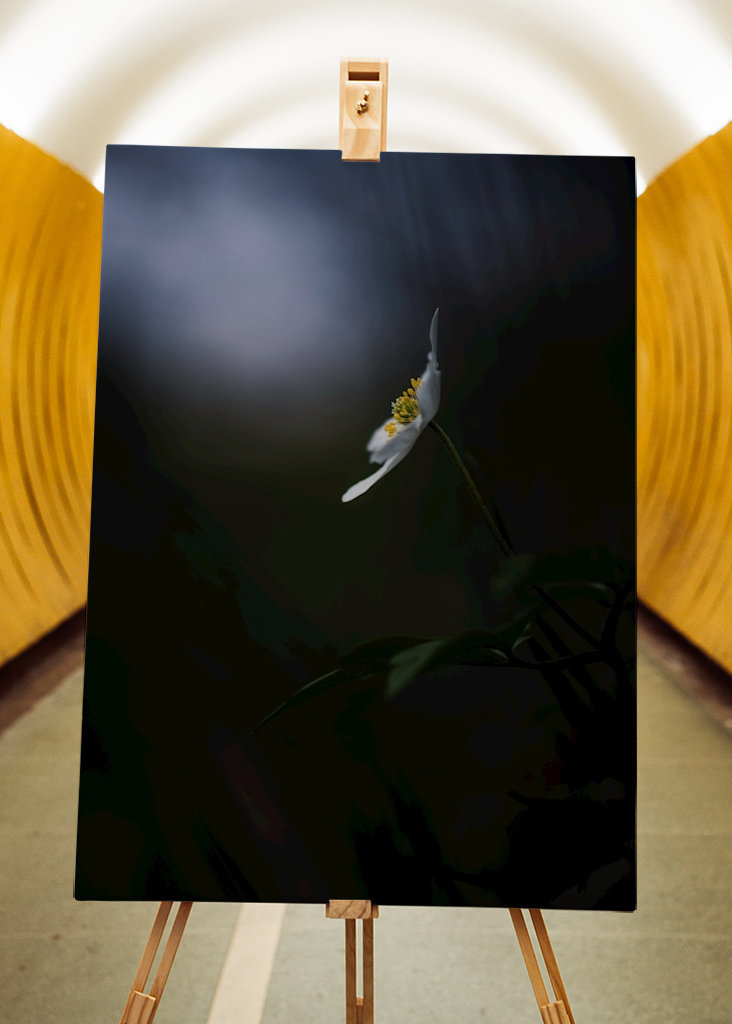 Reaching for the light