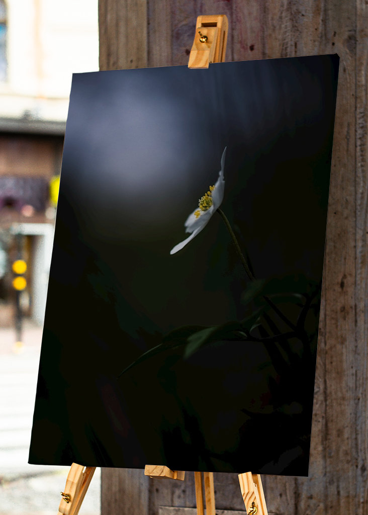 Reaching for the light