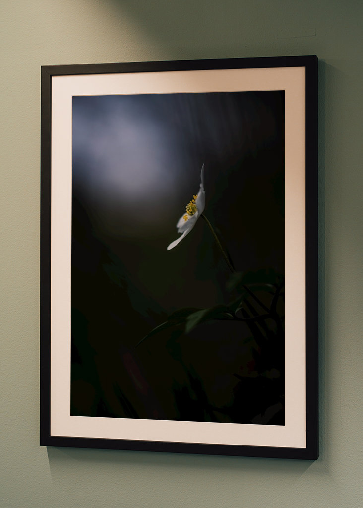 Reaching for the light