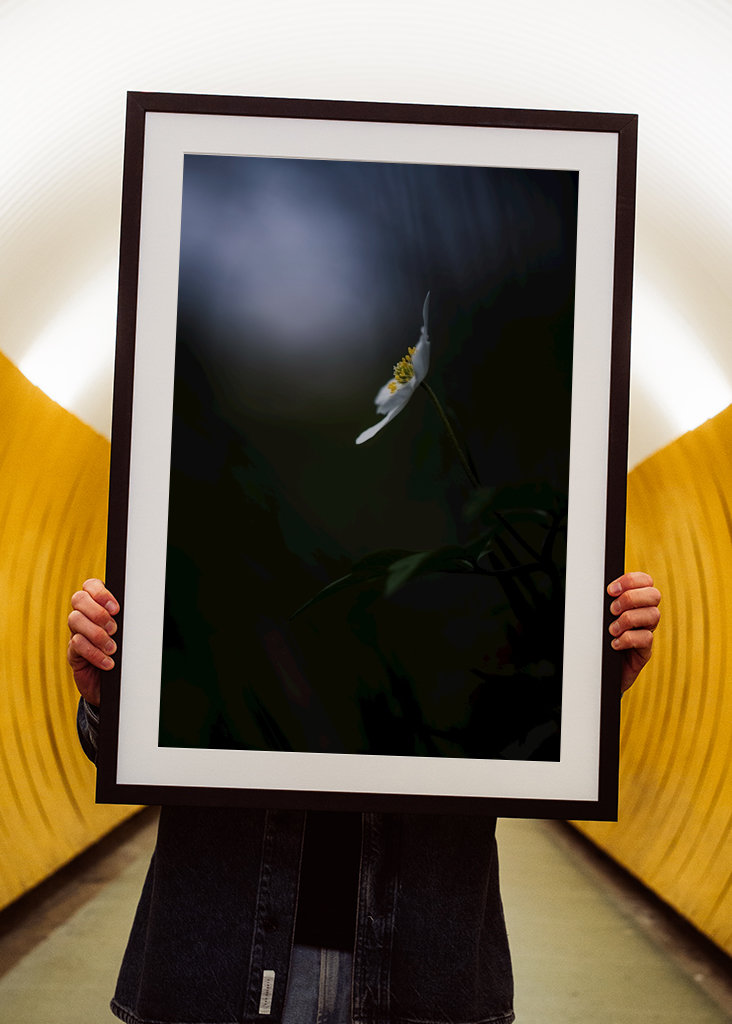 Reaching for the light