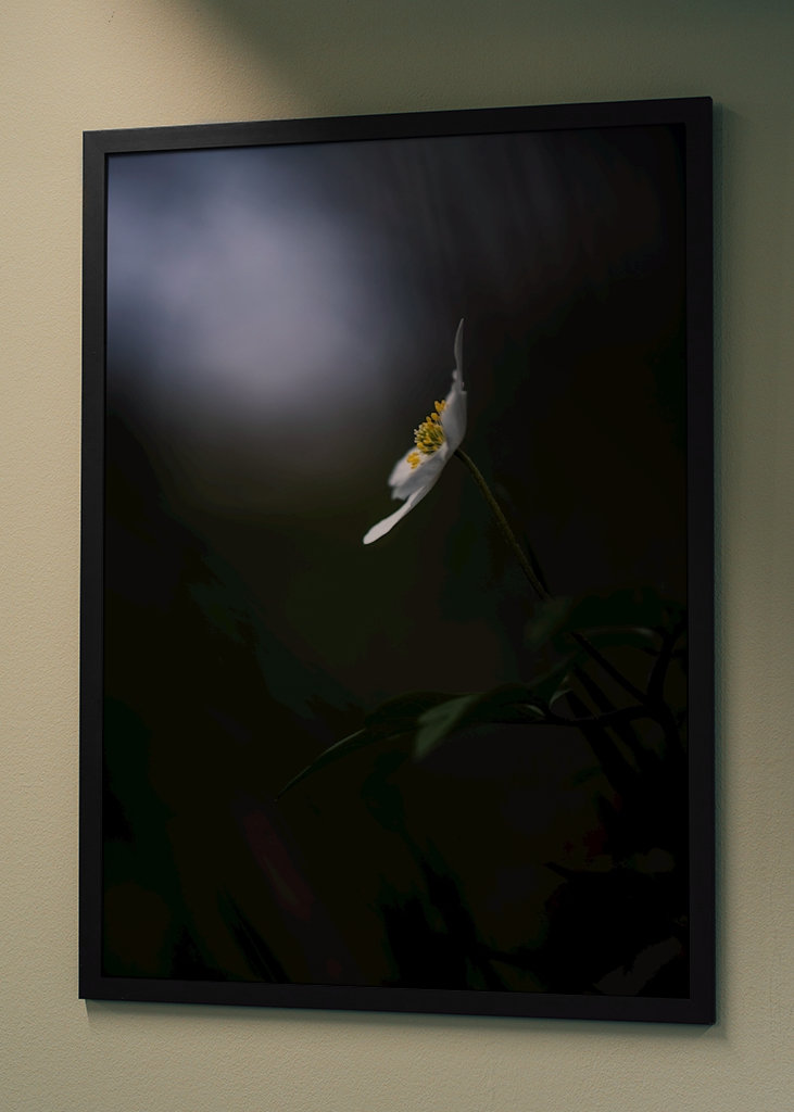 Reaching for the light