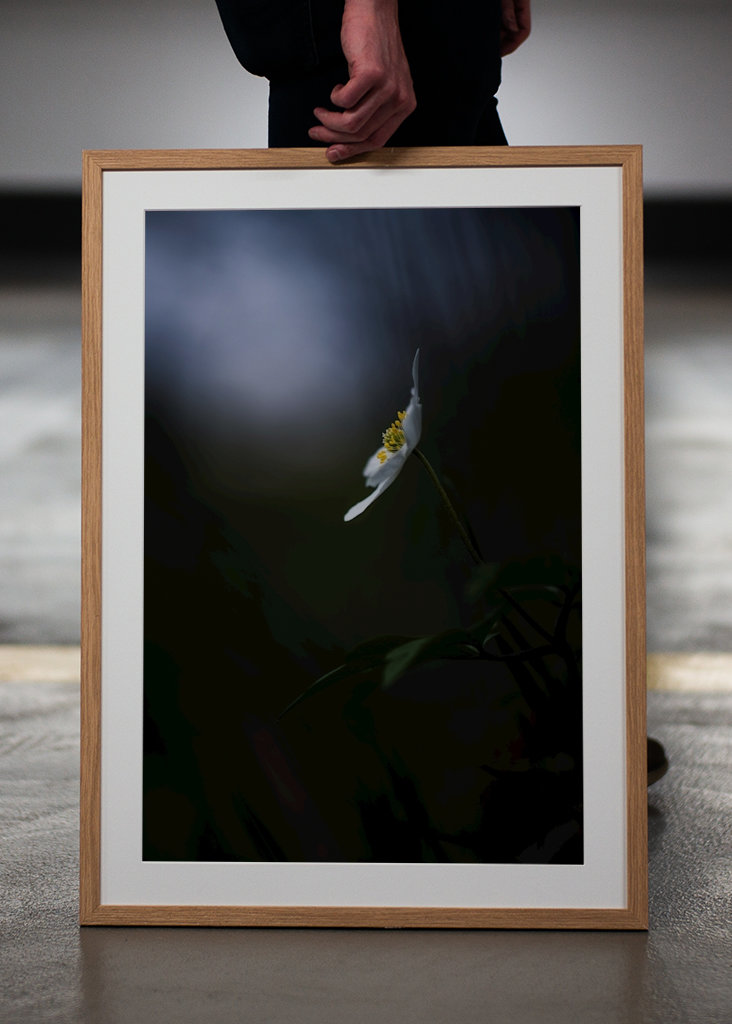 Reaching for the light