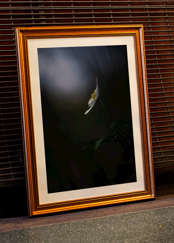 Reaching for the light